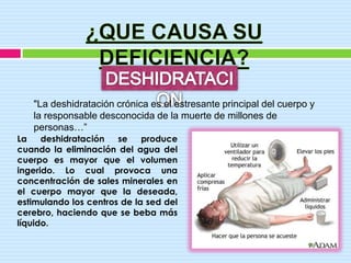 "La deshidratación crónica es el estresante principal del cuerpo y
   la responsable desconocida de la muerte de millones de
   personas…”
La    deshidratación   se    produce
cuando la eliminación del agua del
cuerpo es mayor que el volumen
ingerido. Lo cual provoca una
concentración de sales minerales en
el cuerpo mayor que la deseada,
estimulando los centros de la sed del
cerebro, haciendo que se beba más
líquido.
 