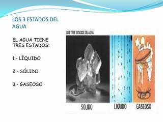 LOS 3 ESTADOS DEL
AGUA

EL AGUA TIENE
TRES ESTADOS:

1.- LÍQUIDO

2.- SÓLIDO

3.- GASEOSO
 