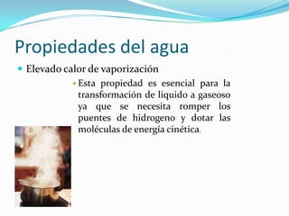 Propiedades del agua
 Elevado calor de vaporización
             Esta propiedad es esencial para la
              transformación de liquido a gaseoso
              ya que se necesita romper los
              puentes de hidrogeno y dotar las
              moléculas de energía cinética.
 