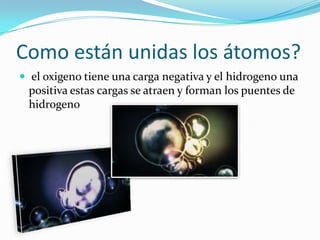 Como están unidas los átomos?
 el oxigeno tiene una carga negativa y el hidrogeno una
 positiva estas cargas se atraen y forman los puentes de
 hidrogeno
 