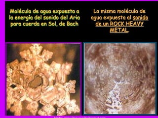 Molécula de agua expuesta a      La misma molécula de
la energía del sonido del Aria   agua expuesta al sonido
 para cuerda en Sol, de Bach       de un ROCK HEAVY
                                         METAL.
 