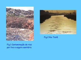 Fig.1 Contaminação de rios por lixo e esgoto sanitário. Fig.2 Rio Tietê 