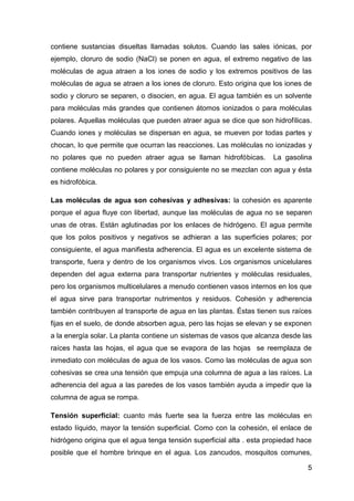 contiene sustancias disueltas llamadas solutos. Cuando las sales iónicas, por
ejemplo, cloruro de sodio (NaCl) se ponen en agua, el extremo negativo de las
moléculas de agua atraen a los iones de sodio y los extremos positivos de las
moléculas de agua se atraen a los iones de cloruro. Esto origina que los iones de
sodio y cloruro se separen, o disocien, en agua. El agua también es un solvente
para moléculas más grandes que contienen átomos ionizados o para moléculas
polares. Aquellas moléculas que pueden atraer agua se dice que son hidrofílicas.
Cuando iones y moléculas se dispersan en agua, se mueven por todas partes y
chocan, lo que permite que ocurran las reacciones. Las moléculas no ionizadas y
no polares que no pueden atraer agua se llaman hidrofóbicas.         La gasolina
contiene moléculas no polares y por consiguiente no se mezclan con agua y ésta
es hidrofóbica.

Las moléculas de agua son cohesivas y adhesivas: la cohesión es aparente
porque el agua fluye con libertad, aunque las moléculas de agua no se separen
unas de otras. Están aglutinadas por los enlaces de hidrógeno. El agua permite
que los polos positivos y negativos se adhieran a las superficies polares; por
consiguiente, el agua manifiesta adherencia. El agua es un excelente sistema de
transporte, fuera y dentro de los organismos vivos. Los organismos unicelulares
dependen del agua externa para transportar nutrientes y moléculas residuales,
pero los organismos multicelulares a menudo contienen vasos internos en los que
el agua sirve para transportar nutrimentos y residuos. Cohesión y adherencia
también contribuyen al transporte de agua en las plantas. Éstas tienen sus raíces
fijas en el suelo, de donde absorben agua, pero las hojas se elevan y se exponen
a la energía solar. La planta contiene un sistemas de vasos que alcanza desde las
raíces hasta las hojas, el agua que se evapora de las hojas se reemplaza de
inmediato con moléculas de agua de los vasos. Como las moléculas de agua son
cohesivas se crea una tensión que empuja una columna de agua a las raíces. La
adherencia del agua a las paredes de los vasos también ayuda a impedir que la
columna de agua se rompa.

Tensión superficial: cuanto más fuerte sea la fuerza entre las moléculas en
estado líquido, mayor la tensión superficial. Como con la cohesión, el enlace de
hidrógeno origina que el agua tenga tensión superficial alta . esta propiedad hace
posible que el hombre brinque en el agua. Los zancudos, mosquitos comunes,

                                                                                5
 