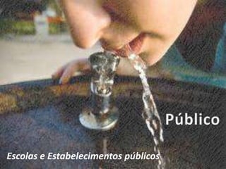 Escolas e Estabelecimentos públicos
 