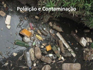 Poluição e Contaminação
 
