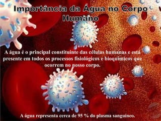 A água é o principal constituinte das células humanas e está
presente em todos os processos fisiológicos e bioquímicos que
                 ocorrem no nosso corpo.




       A água representa cerca de 95 % do plasma sanguíneo.
 