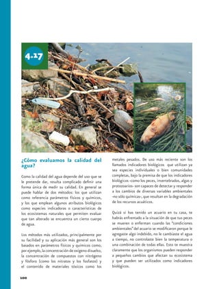 4.17




¿Cómo evaluamos la calidad del                       metales pesados. De uso más reciente son los
agua?                                                llamados indicadores biológicos que utilizan ya
                                                     sea especies individuales o bien comunidades
Como la calidad del agua depende del uso que se      completas, bajo la premisa de que los indicadores
le pretende dar, resulta complicado definir una      biológicos -como los peces, invertebrados, algas y
forma única de medir su calidad. En general se       protozoarios- son capaces de detectar y responder
puede hablar de dos métodos: los que utilizan        a los cambios de diversas variables ambientales
como referencia parámetros físicos y químicos,       -no sólo químicas-, que resultan en la degradación
y los que emplean algunos atributos biológicos       de los recursos acuáticos.
como especies indicadoras o características de
los ecosistemas naturales que permiten evaluar       Quizá si has tenido un acuario en tu casa, te
que tan alterado se encuentra un cierto cuerpo       habrás enfrentado a la situación de que tus peces
de agua.                                             se mueren o enferman cuando las “condiciones
                                                     ambientales” del acuario se modificaron porque le
Los métodos más utilizados, principalmente por       agregaste algo indebido, no le cambiaste el agua
su facilidad y su aplicación más general son los     a tiempo, no controlaste bien la temperatura o
basados en parámetros físicos y químicos como,       una combinación de todas ellas. Esto te muestra
por ejemplo, la concentración de oxígeno disuelto,   claramente que los organismos pueden responder
la concentración de compuestos con nitrógeno         a pequeños cambios que afectan su ecosistema
y fósforo (como los nitratos y los fosfatos) y       y que pueden ser utilizados como indicadores
el contenido de materiales tóxicos como los          biológicos.

100
 