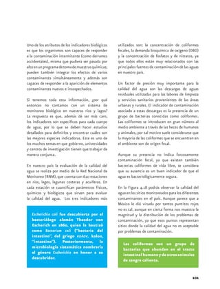 Uno de los atributos de los indicadores biológicos   utilizados son: la concentración de coliformes
es que los organismos son capaces de responder       fecales, la demanda bioquímica de oxígeno (DBO)
a la contaminación intermitente (como derrames       y la concentración de fosfatos y de nitratos, ya
accidentales), misma que pudiera ser pasada por      que todos ellos están muy relacionados con las
alto en un programa de toma de muestras químicas;    principales fuentes de contaminación de las aguas
pueden también integrar los efectos de varios        en nuestro país.
contaminantes simultáneamente y además son
capaces de responder a la aparición de elementos     Un factor de presión muy importante para la
contaminantes nuevos e insospechados.                calidad del agua son las descargas de aguas
                                                     residuales utilizadas para las labores de limpieza
Si tenemos toda esta información, ¿por qué           y servicios sanitarios provenientes de las áreas
entonces no contamos con un sistema de               urbanas y rurales. El indicador de contaminación
monitoreo biológico en nuestros ríos y lagos?        asociado a estas descargas es la presencia de un
La respuesta es que, además de ser más caro,         grupo de bacterias conocidas como coliformes.
los indicadores son específicos para cada cuerpo     Las coliformes se introducen en gran número al
de agua, por lo que se deben hacer estudios          medio ambiente a través de las heces de humanos
detallados para definirlos y encontrar cuáles son    y animales, por tal motivo suele considerarse que
las mejores especies indicadoras. Este es uno de     la mayoría de las coliformes que se encuentran en
los muchos temas en que gobierno, universidades      el ambiente son de origen fecal.
y centros de investigación tienen que trabajar de
manera conjunta.                                     Aunque su presencia no indica forzosamente
                                                     contaminación fecal, ya que existen también
En nuestro país la evaluación de la calidad del      bacterias coliformes de vida libre, se considera
agua se realiza por medio de la Red Nacional de      que su ausencia es un buen indicador de que el
Monitoreo (RNM), que cuenta con 620 estaciones       agua es bacteriológicamente segura.
en ríos, lagos, lagunas costeras y acuíferos. En
cada estación se cuantifican parámetros físicos,     En la Figura 4.18 podrás observar la calidad del
químicos y biológicos que sirven para evaluar        agua en los sitios monitoreados para los diferentes
la calidad del agua. Los tres indicadores más        contaminantes en el país. Aunque parece que a
                                                     México le dió viruela por tantos puntitos rojos
                                                     no es tal, aunque en cierta forma nos muestra la
   Escherichia coli fue descubierta por el           magnitud y la distribución de los problemas de
   bacteriólogo alemán Theodor von                   contaminación, ya que esos puntos representan
   Escherich en 1860, quien la bautizó               sitios donde la calidad del agua no es aceptable
   como Bacterium coli (“bacteria del                por problemas de contaminación.
   intestino”, del griego κολον, kolon,
   “intestino”). Posteriormente, la
                                                        Las coliformes son un grupo de
   microbiología sistemática nombraría
                                                        bacterias que abundan en el tracto
   el género Escherichia en honor a su
                                                        intestinal humano y de otros animales
   descubridor.
                                                        de sangre caliente.


                                                                                                    101
 