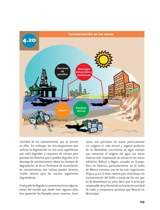 Contaminación en los mares




cantidad de los contaminantes que se vierten          zonas son porciones de mares prácticamente
en ellos. Sin embargo, los microorganismos que        sin oxígeno ni vida animal y vegetal producto
realizan la degradación no son unos superhéroes       de un desmedido crecimiento de algas marinas
que todo degradan y requieren de tiempo para          que consumen el oxígeno del agua. Las zonas
procesar los desechos que si pueden degradar. Si la   muertas más importantes se ubican en los mares
descarga de contaminantes rebasa los tiempos de       Adriático, Báltico y Negro, situados en Europa.
degradación, se da un fenómeno de acumulación         Pero en América, particularmente en el Golfo
de contaminantes que incluso pueden alcanzar          de México tenemos una de las más importantes
niveles tóxicos para los mismos organismos            (Figura 4.21). Si bien nuestro país contribuye a la
degradadores.                                         contaminación del Golfo a través de los ríos que
                                                      en él desembocan es justo decir que la principal
A tal grado ha llegado la contaminación en algunos    responsable de su formación es la enorme cantidad
mares del mundo que desde hace algunos años           de suelo y compuestos químicos que lleva el río
han aparecido las llamadas zonas muertas. Estas       Mississippi.

                                                                                                    105
 