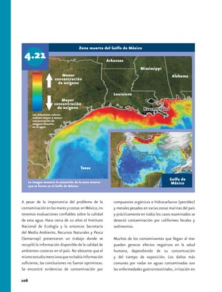 Zona muerta del Golfo de México

                                                         Arkansas
                                                                            Mississippi
                            Menor                                                              Alabama
                        concentración
                          de oxígeno

                                                            Louisiana
                            Mayor
                        concentración
                          de oxígeno                                          Nueva Orleáns
        Los diferentes colores
        indican mayor o menor
        concentración de
        oxígeno disuelto
        en el agua.




                                        Texas

                                                                                              Golfo de
      La imagen muestra la extensión de la zona muerta                                        México
      que se forma en el Golfo de México.



A pesar de la importancia del problema de la                compuestos orgánicos e hidrocarburos (petróleo)
contaminación en los mares y costas en México, no           y metales pesados en varias zonas marinas del país
tenemos evaluaciones confiables sobre la calidad            y prácticamente en todos los casos examinados se
de esta agua. Hace cerca de 10 años el Instituto            detectó contaminación por coliformes fecales y
Nacional de Ecología y la entonces Secretaría               sedimentos.
del Medio Ambiente, Recursos Naturales y Pesca
(Semarnap) presentaron un trabajo donde se                  Muchos de los contaminantes que llegan al mar
recopiló la información disponible de la calidad de         pueden generar efectos negativos en la salud
ambientes costeros en el país. No obstante que el           humana, dependiendo de su concentración
mismo estudio menciona que no había información             y del tiempo de exposición. Los daños más
suficiente, las conclusiones no fueron optimistas.          comunes por nadar en aguas contaminadas son
Se encontró evidencias de contaminación por                 las enfermedades gastrointestinales, irritación en

106
 