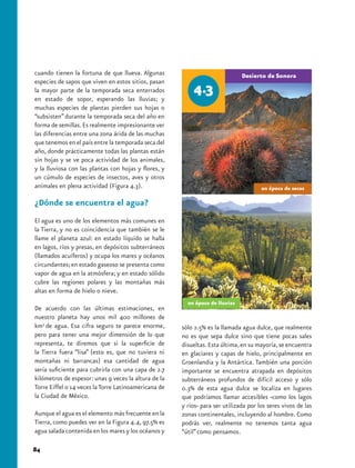 cuando tienen la fortuna de que llueva. Algunas
especies de sapos que viven en estos sitios, pasan
la mayor parte de la temporada seca enterrados
en estado de sopor, esperando las lluvias; y
muchas especies de plantas pierden sus hojas o
“subsisten” durante la temporada seca del año en
forma de semillas. Es realmente impresionante ver
las diferencias entre una zona árida de las muchas
que tenemos en el país entre la temporada seca del
año, donde prácticamente todas las plantas están
sin hojas y se ve poca actividad de los animales,
y la lluviosa con las plantas con hojas y flores, y
un cúmulo de especies de insectos, aves y otros
animales en plena actividad (Figura 4.3).

¿Dónde se encuentra el agua?
El agua es uno de los elementos más comunes en
la Tierra, y no es coincidencia que también se le
llame el planeta azul: en estado líquido se halla
en lagos, ríos y presas, en depósitos subterráneos
(llamados acuíferos) y ocupa los mares y océanos
circundantes; en estado gaseoso se presenta como
vapor de agua en la atmósfera; y en estado sólido
cubre las regiones polares y las montañas más
altas en forma de hielo o nieve.

De acuerdo con las últimas estimaciones, en
nuestro planeta hay unos mil 400 millones de
km3 de agua. Esa cifra seguro te parece enorme,       sólo 2.5% es la llamada agua dulce, que realmente
pero para tener una mejor dimensión de lo que         no es que sepa dulce sino que tiene pocas sales
representa, te diremos que si la superficie de        disueltas. Esta última, en su mayoría, se encuentra
la Tierra fuera “lisa” (esto es, que no tuviera ni    en glaciares y capas de hielo, principalmente en
montañas ni barrancas) esa cantidad de agua           Groenlandia y la Antártica. También una porción
sería suficiente para cubrirla con una capa de 2.7    importante se encuentra atrapada en depósitos
kilómetros de espesor: unas 9 veces la altura de la   subterráneos profundos de difícil acceso y sólo
Torre Eiffel o 14 veces la Torre Latinoamericana de   0.3% de esta agua dulce se localiza en lugares
la Ciudad de México.                                  que podríamos llamar accesibles -como los lagos
                                                      y ríos- para ser utilizada por los seres vivos de las
Aunque el agua es el elemento más frecuente en la     zonas continentales, incluyendo al hombre. Como
Tierra, como puedes ver en la Figura 4.4, 97.5% es    podrás ver, realmente no tenemos tanta agua
agua salada contenida en los mares y los océanos y    “útil” como pensamos.

84
 