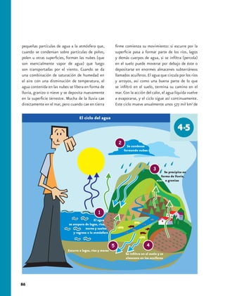 pequeñas partículas de agua a la atmósfera que,            firme comienza su movimiento: si escurre por la
cuando se condensan sobre partículas de polvo,             superficie pasa a formar parte de los ríos, lagos
polen u otras superficies, forman las nubes (que           y demás cuerpos de agua, si se infiltra (percola)
son esencialmente vapor de agua) que luego                 en el suelo puede moverse por debajo de éste o
son transportadas por el viento. Cuando se da              depositarse en enormes almacenes subterráneos
una combinación de saturación de humedad en                llamados acuíferos. El agua que circula por los ríos
el aire con una disminución de temperatura, el             y arroyos, así como una buena parte de lo que
agua contenida en las nubes se libera en forma de          se infiltró en el suelo, termina su camino en el
lluvia, granizo o nieve y se deposita nuevamente           mar. Con la acción del calor, el agua líquida vuelve
en la superficie terrestre. Mucha de la lluvia cae         a evaporarse, y el ciclo sigue así continuamente.
directamente en el mar, pero cuando cae en tierra          Este ciclo mueve anualmente unos 577 mil km3 de

                                   El ciclo del agua




                                                                  Se condensa
                                                                formando nubes




                                                                                             Se precipita en
                                                                                           forma de lluvia,
                                                                                        nieve o granizo




                                              El agua
                            se evapora de lagos, ríos,
                                       mares y suelos
                               y regresa a la atmósfera




                           Escurre a lagos, ríos y mares
                                                                 Se infiltra en el suelo y se
                                                                 almacena en los acuíferos




86
 