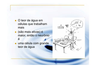 O teor de água em
células que trabalham
mais
(são mais ativas) é
maior, então o neurônio
é
uma célula com grande
teor de água
 
