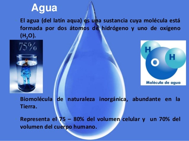 Agua