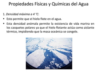 Propiedades Físicas y Químicas del Agua
1. Densidad máxima a 4 °C:
• Esto permite que el hielo flote en el agua.
• Esta densidad anómala permite la existencia de vida marina en
los casquetes polares ya que el hielo flotante actúa como aislante
térmico, impidiendo que la masa oceánica se congele.
 