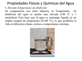 Propiedades Físicas y Químicas del Agua
3. Elevada Temperatura de ebullición:
En comparación con otros hidruros, la Temperatura de
ebullición del agua es mucho mas elevada (100 °C a 1
atmósfera). Esto hace que el agua se mantenga liquida en un
amplio margen de temperatura (0-100 °C), lo que posibilita la
vida en diferentes climas, incluso a temperaturas extremas.
 