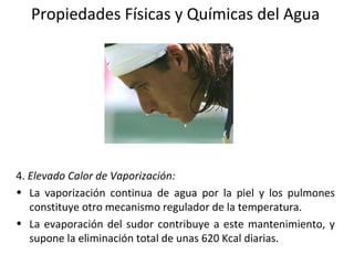 Propiedades Físicas y Químicas del Agua
4. Elevado Calor de Vaporización:
• La vaporización continua de agua por la piel y los pulmones
constituye otro mecanismo regulador de la temperatura.
• La evaporación del sudor contribuye a este mantenimiento, y
supone la eliminación total de unas 620 Kcal diarias.
 