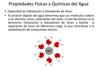 Propiedades Físicas y Químicas del Agua
7. Capacidad de Hidratación o Solvatación de Iones:
• El carácter dipolar del agua determina que sus moléculas rodeen
a los distintos iones, aislándolos del resto. A este fenómeno se le
denomina hidratación o Solvatación de iones y facilita la
separación de iones de diferentes carga, lo que contribuye a la
solubilización de compuestos iónicos.
 
