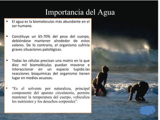 Importancia del Agua
• El agua es la biomoleculas más abundante en el
ser humano.
• Constituye un 65-70% del peso del cuerpo,
debiéndose mantener alrededor de estos
valores. De lo contrario, el organismo sufriría
graves situaciones patológicas.
• Todas las células precisan una matriz en la que
diez mil biomoléculas puedan moverse e
interaccionar en un espacio tupido.las
reacciones bioquímicas del organismo tienen
lugar en medios acuosos.
• “Es el solvente por naturaleza, principal
componente del aparato circulatorio, permite
mantener la temperatura del cuerpo, vehiculiza
los nutrientes y los desechos corporales”.
 