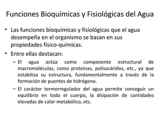 Funciones Bioquímicas y Fisiológicas del Agua
• Las funciones bioquímicas y fisiológicas que el agua
desempeña en el organismo se basan en sus
propiedades físico-químicas.
• Entre ellas destacan:
– El agua actúa como componente estructural de
macromoléculas, como proteínas, polisacáridos, etc., ya que
estabiliza su estructura, fundamentalmente a través de la
formación de puentes de hidrógeno.
– El carácter termorregulador del agua permite conseguir un
equilibrio en todo el cuerpo, la disipación de cantidades
elevadas de calor metabólico, etc.
 