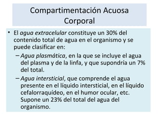 Compartimentación Acuosa
Corporal
• El agua extracelular constituye un 30% del
contenido total de agua en el organismo y se
puede clasificar en:
– Agua plasmática, en la que se incluye el agua
del plasma y de la linfa, y que supondría un 7%
del total.
– Agua intersticial, que comprende el agua
presente en el líquido intersticial, en el líquido
cefalorraquídeo, en el humor ocular, etc.
Supone un 23% del total del agua del
organismo.
 