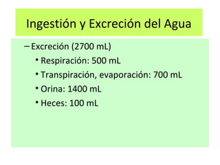 Ingestión y Excreción del Agua
–Excreción (2700 mL)
• Respiración: 500 mL
• Transpiración, evaporación: 700 mL
• Orina: 1400 mL
• Heces: 100 mL
 