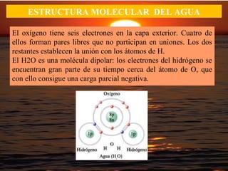 ESTRUCTURA MOLECULAR DEL AGUA
El oxígeno tiene seis electrones en la capa exterior. Cuatro de
ellos forman pares libres que no participan en uniones. Los dos
restantes establecen la unión con los átomos de H.
El H2O es una molécula dipolar: los electrones del hidrógeno se
encuentran gran parte de su tiempo cerca del átomo de O, que
con ello consigue una carga parcial negativa.
 