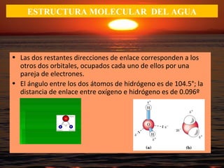 ESTRUCTURA MOLECULAR DEL AGUA
• Las dos restantes direcciones de enlace corresponden a los
otros dos orbitales, ocupados cada uno de ellos por una
pareja de electrones.
• El ángulo entre los dos átomos de hidrógeno es de 104.5°; la
distancia de enlace entre oxígeno e hidrógeno es de 0.096º
nm.
 