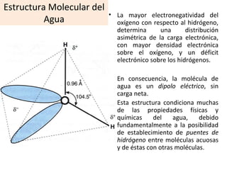 Estructura Molecular del
Agua
• La mayor electronegatividad del
oxígeno con respecto al hidrógeno,
determina una distribución
asimétrica de la carga electrónica,
con mayor densidad electrónica
sobre el oxígeno, y un déficit
electrónico sobre los hidrógenos.
• En consecuencia, la molécula de
agua es un dipolo eléctrico, sin
carga neta.
• Esta estructura condiciona muchas
de las propiedades físicas y
químicas del agua, debido
fundamentalmente a la posibilidad
de establecimiento de puentes de
hidrógeno entre moléculas acuosas
y de éstas con otras moléculas.
 