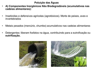 Poluição das Águas
• A) Componentes Inorgânicos Não Biodegradáveis (acumulativos nas
cadeias alimentares):
• Inseticidas e defensivos agrícolas (agrotóxicos). Morte de peixes, aves e
invertebrados
• Metais pesados (mercúrio, chumbo) acumulativos nas cadeias alimentares
• Detergentes: liberam fosfatos na água, contribuindo para a eutroficação ou
eutrifização.
 