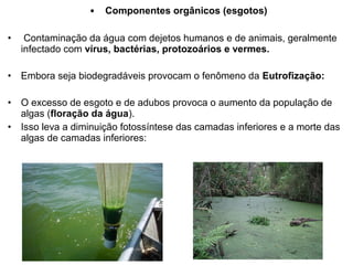 • Componentes orgânicos (esgotos)
• Contaminação da água com dejetos humanos e de animais, geralmente
infectado com vírus, bactérias, protozoários e vermes.
• Embora seja biodegradáveis provocam o fenômeno da Eutrofização:
• O excesso de esgoto e de adubos provoca o aumento da população de
algas (floração da água).
• Isso leva a diminuição fotossíntese das camadas inferiores e a morte das
algas de camadas inferiores:
 