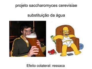projeto saccharomyces cerevisiae
substituição da água
Efeito colateral: ressaca
 
