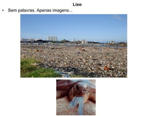 Lixo
• Sem palavras. Apenas imagens...
 