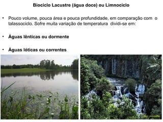 Biociclo Lacustre (água doce) ou Limnociclo
• Pouco volume, pouca área e pouca profundidade, em comparação com o
talassociclo. Sofre muita variação de temperatura dividi-se em:
• Águas lênticas ou dormente
• Águas lóticas ou correntes
 