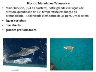 Biociclo Marinho ou Talassociclo
• Maior biociclo, (3/4 da biosfera). Sofre grandes variações de
pressão, quantidade de luz, temperatura em função da
profundidade. A salinidade é em torno de 35 ppm. Dividi-se em
• águas costeiras
• mar aberto
• grandes profundidades.
 