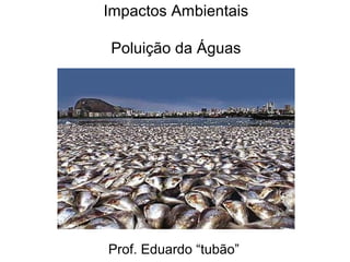 Impactos Ambientais
Poluição da Águas
Prof. Eduardo “tubão”
 