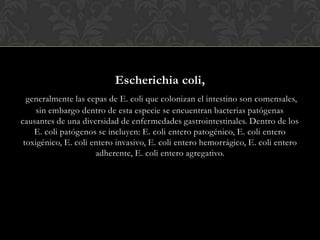 Escherichia coli,
generalmente las cepas de E. coli que colonizan el intestino son comensales,
sin embargo dentro de esta especie se encuentran bacterias patógenas
causantes de una diversidad de enfermedades gastrointestinales. Dentro de los
E. coli patógenos se incluyen: E. coli entero patogénico, E. coli entero
toxigénico, E. coli entero invasivo, E. coli entero hemorrágico, E. coli entero
adherente, E. coli entero agregativo.

 