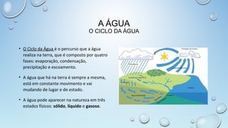 A ÁGUA

O CICLO DA ÁGUA
• O Ciclo da Água é o percurso que a água
realiza na terra, que é composto por quatro
fases: evaporação, condensação,
precipitação e escoamento.
• A água que há na terra é sempre a mesma,
está em constante movimento e vai
mudando de lugar e de estado.
• A água pode aparecer na natureza em três
estados físicos: sólido, líquido e gasoso.

 