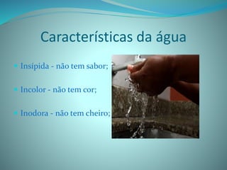 Características da água
 Insípida - não tem sabor;
 Incolor - não tem cor;
 Inodora - não tem cheiro;
 