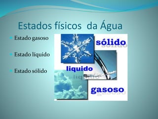 Estados físicos da Água
 Estado gasoso
 Estado líquido
 Estado sólido
 