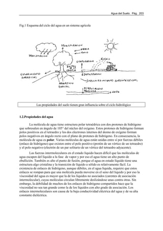 Agua del Suelo. Pág. 203
Fig.1 Esquema del ciclo del agua en un sistema agrícola
Las propiedades del suelo tienen gran influencia sobre el ciclo hidrológico
1.2.Propiedades del agua
La molécula de agua tiene estructura polar tetraédrica con dos protones de hidrógeno
que sobresalen en ángulo de 105° del núcleo del oxígeno. Estos protones de hidrógeno forman
polos positivos en el tetraedro y los dos electrones internos del átomo de oxígeno forman
polos negativos en ángulo recto con el plano de protones de hidrógeno. En consecuencia, la
molécula de agua es polar. Varias moléculas de agua están unidas entre sí por fuerzas débiles
(enlace de hidrógeno) que existen entre el polo positivo (protón de un vértice de un tetraedro)
y el polo negativo (electrón de un par solitario de un vértice del tetraedro adyacente).
Las fuerzas intermoleculares en el estado líquido hacen difícil que las moléculas de
agua escapen del líquido a la fase de vapor y por eso el agua tiene un alto punto de
ebullición. También es alto el punto de fusión, porque el agua en estado líquido tiene una
estructura algo cristalina y la transición de líquido a sólido es relativamente fácil. La
existencia de enlaces de hidrógeno, aunque débiles, en el agua líquida, requiere que estos
enlaces se rompan para que una molécula pueda moverse en el seno del liquido y por eso la
viscosidad del agua es mayor que la de los líquidos no asociados (carentes de asociación
intermolecular), cuyas moléculas circulan libremente deslizándose unas contra otras. Sin
embargo, la debilidad de muchos de los enlaces de hidrógeno compartidos hace que la
viscosidad no sea tan grande como la de los líquidos con alto grado de asociación. Los
enlaces intermoleculares son causa de la baja conductividad eléctrica del agua y de su alta
constante dieléctrica.
 