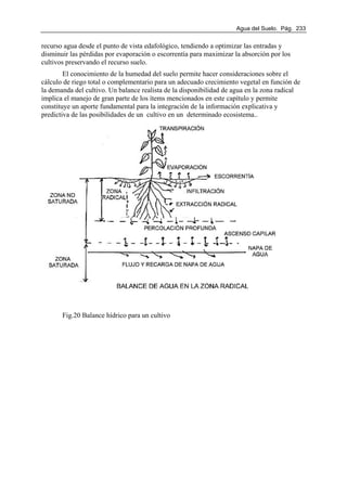 Agua del Suelo. Pág. 233
recurso agua desde el punto de vista edafológico, tendiendo a optimizar las entradas y
disminuir las pérdidas por evaporación o escorrentía para maximizar la absorción por los
cultivos preservando el recurso suelo.
El conocimiento de la humedad del suelo permite hacer consideraciones sobre el
cálculo de riego total o complementario para un adecuado crecimiento vegetal en función de
la demanda del cultivo. Un balance realista de la disponibilidad de agua en la zona radical
implica el manejo de gran parte de los ítems mencionados en este capítulo y permite
constituye un aporte fundamental para la integración de la información explicativa y
predictiva de las posibilidades de un cultivo en un determinado ecosistema..
Fig.20 Balance hídrico para un cultivo
 