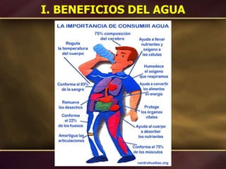 I. BENEFICIOS DEL AGUA
 