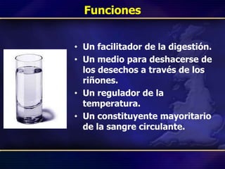 Funciones
• Un facilitador de la digestión.
• Un medio para deshacerse de
los desechos a través de los
riñones.
• Un regulador de la
temperatura.
• Un constituyente mayoritario
de la sangre circulante.
 