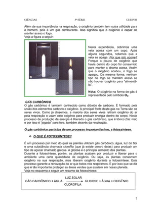 CIÊNCIAS 5ª SÉRIE CEESVO
7
Além de sua importância na respiração, o oxigênio também tem outra utilidade para
o homem, pois é um gás comburente. Isso significa que o oxigênio é capaz de
manter aceso o fogo.
Veja a figura a seguir:
Nesta experiência, cobrimos uma
vela acesa com um copo. Após
alguns segundos, notamos que a
vela se apaga. Por que isto ocorre?
Porque o pouco de oxigênio que
havia dentro do copo foi consumido
para manter a chama acesa. Assim
que o oxigênio acabou, o fogo se
apagou. Da mesma forma, nenhum
tipo de fogo se mantém aceso se
não houver oxigênio para “alimentá-
lo”.
Nota: O oxigênio na forma de gás é
representado pelo símbolo O2.
GÁS CARBÔNICO
O gás carbônico é também conhecido como díóxido de carbono. É formado pela
união dos elementos carbono e oxigênio. A principal fonte deste gás na Terra são os
seres vivos. Como já dissemos, a maioria dos seres vivos retiram oxigênio do ar
pela respiração e usam este oxigênio para produzir energia dentro do corpo. Neste
processo de produção de energia é liberado o gás carbônico, que é tóxico (faz mal)
e por isso é “jogado” para fora, também através da respiração.
O gás carbônico participa de um processo importantíssimo, a fotossíntese.
O QUE É FOTOSSÍNTESE?
É um processo por meio do qual as plantas utilizam gás carbônico, água, luz do Sol
e uma substância chamada clorofila (que já existe dentro delas) para produzir um
tipo de açúcar chamado glicose. A glicose é o principal alimento das plantas.
Durante a fotossíntese, porém, as plantas acabam por produzir e liberar para o
ambiente uma certa quantidade de oxigênio. Ou seja, as plantas consomem
oxigênio na sua respiração, mas liberam oxigênio durante a fotossíntese. Este
processo garante a renovação do ar que todos nós respiramos. E por isso que se diz
que é tão importante proteger as áreas verdes que existem em nosso planeta.
Veja no esquema a seguir um resumo da fotossíntese:
LUZ SOLAR
GÁS CARBÔNICO + ÁGUA GLICOSE + ÁGUA + OXIGÊNIO
CLOROFILA
 