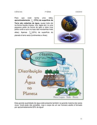 CIÊNCIAS 5ª SÉRIE CEESVO
11
Para que você tenha uma idéia,
aproximadamente
4
3 (75%) da superfície da
Terra são cobertos de água, quase toda ela
na forma líquida (mares, rios, lagos etc.) e uma
pequena parte na forma de gelo e neve (nos
pólos norte e sul e no topo das montanhas mais
altas). Apenas
4
1 (25%) da superfície do
planeta é terra seca (continentes e ilhas).
Esta grande quantidade de água está presente também na grande maioria dos seres
vivos. Você pode não acreditar, mas o corpo de um ser humano adulto é formado
por aproximadamente 65% de água!
 