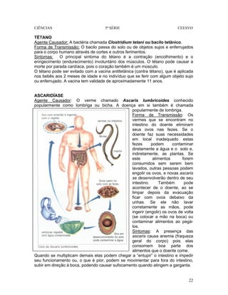 CIÊNCIAS 5ª SÉRIE CEESVO
22
TÉTANO
Agente Causador: A bactéria chamada Clostridium tetani ou bacilo tetânico.
Forma de Transmissão: O bacilo passa do solo ou de objetos sujos e enferrujados
para o corpo humano através de cortes e outros ferimentos.
Sintomas: O principal sintoma do tétano é a contração (encolhimento) e o
enrigecimento (endurecimento) involuntário dos músculos. O tétano pode causar a
morte por parada cardíaca, pois o coração também é um músculo.
O tétano pode ser evitado com a vacina antitetânica (contra tétano), que é aplicada
nos bebês aos 2 meses de idade e no indivíduo que se ferir com algum objeto sujo
ou enferrujado. A vacina tem validade de aproximadamente 11 anos.
ASCARIDÍASE
Agente Causador: O verme chamado Ascaris Iumbricoides conhecido
popularmente como lombriga ou bicha. A doença em si também é chamada
popularmente de lombriga.
Forma de Transmissão: Os
vermes que se encontram no
intestino do doente eliminam
seus ovos nas fezes. Se o
doente faz suas necessidades
em local inadequado estas
fezes podem contaminar
diretamente a água e o solo e,
indiretamente, as plantas. Se
este alimentos forem
consumidos sem serem bem
lavados, outras pessoas podem
engolir os ovos, e novas ascaris
se desenvolverão dentro de seu
intestino. Também pode
acontecer de o doente, ao se
limpar depois da evacuação
ficar com ovos debaixo da
unhas. Se ele não lavar
corretamente as mãos, pode
ingerir (engolir) os ovos de volta
(se colocar a mão na boca) ou
contaminar alimentos ao pegá-
los.
Sintomas: A presença das
ascaris causa anemia (fraqueza
geral do corpo) pois elas
consomem boa parte dos
alimentos que o doente come.
Quando se multiplicam demais elas podem chegar a “entupir” o intestino e impedir
seu funcionamento ou, o que é pior, podem se movimentar para fora do intestino,
subir em direção à boca, podendo causar sufocamento quando atingem a garganta.
 