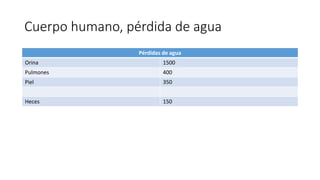 Cuerpo humano, pérdida de agua
Pérdidas de agua
Orina 1500
Pulmones 400
Piel 350
Heces 150
 