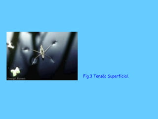 Fig.3 Tensão Superficial.
 