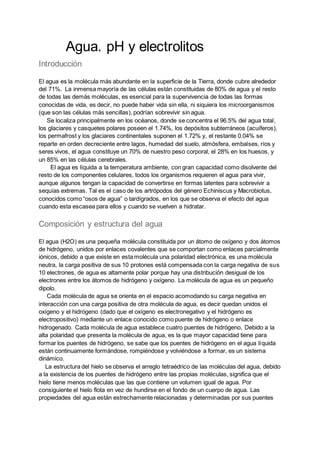 Que Significa Electrolitos Resumen